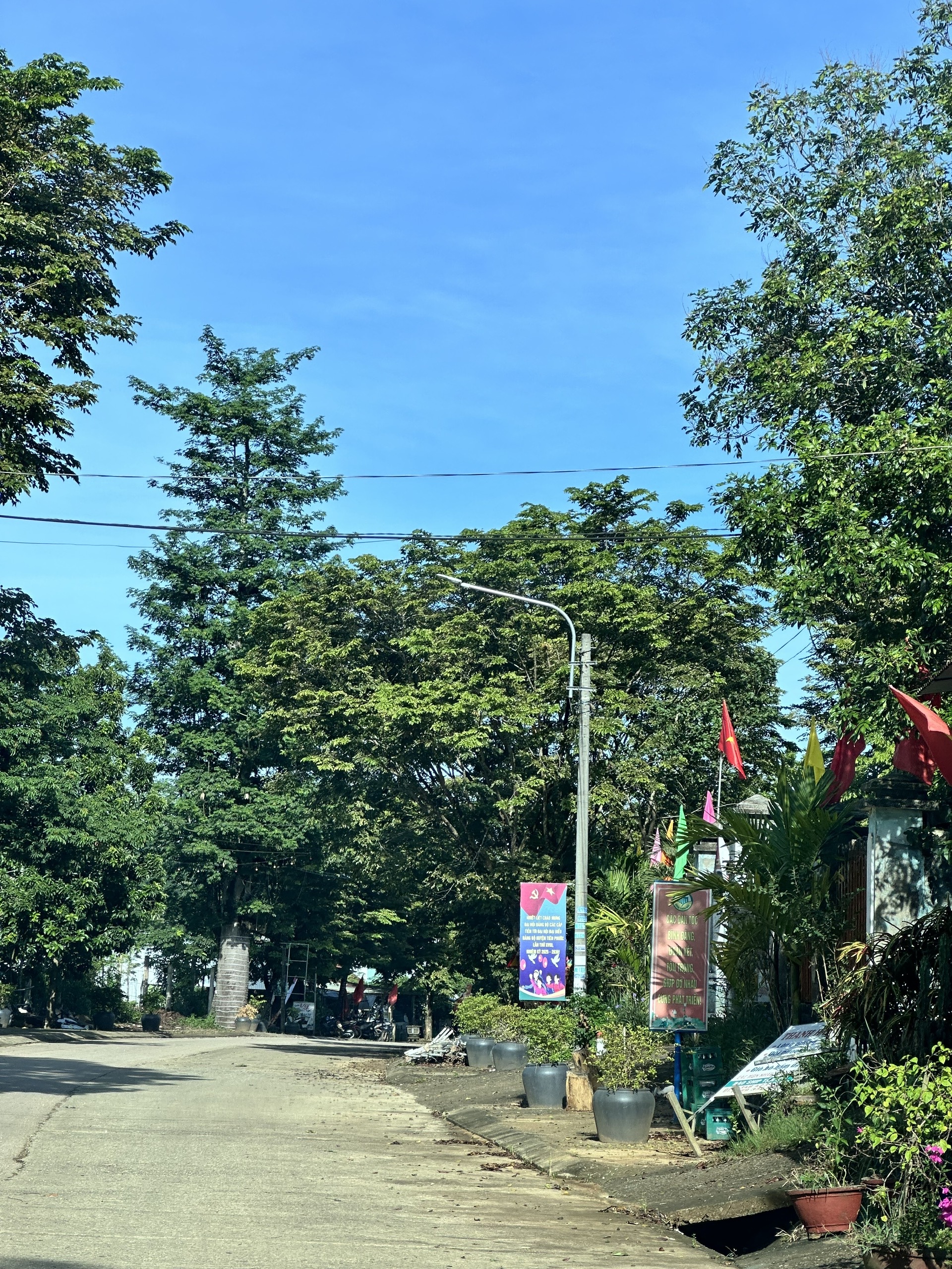 đèn LED chiếu sáng đường phố