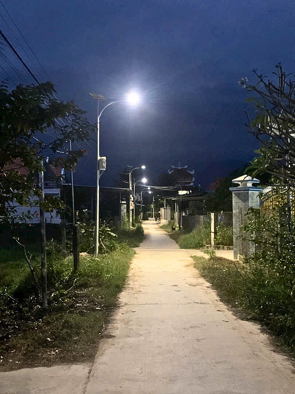 đèn LED chiếu sáng đường phố