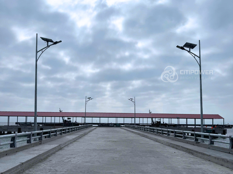 (Ảnh: Cung cấp đèn LED chiếu sáng cho công trình)
