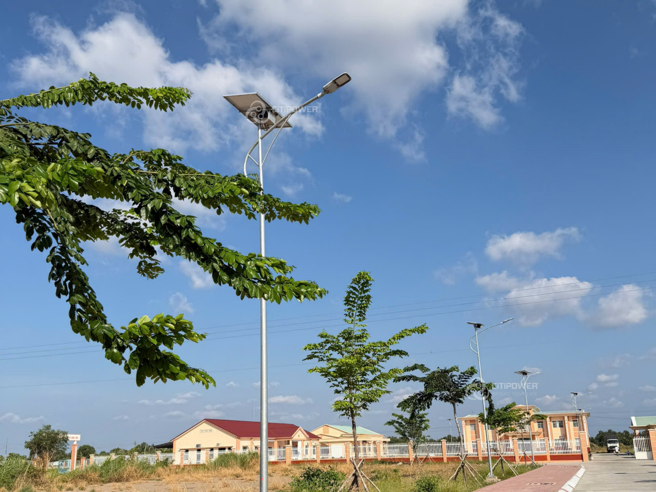 Hình ảnh toàn cảnh công trình đèn đường năng lượng mặt trời CiTiPOWER tại An Biên, Kiên Giang vào ban ngày.