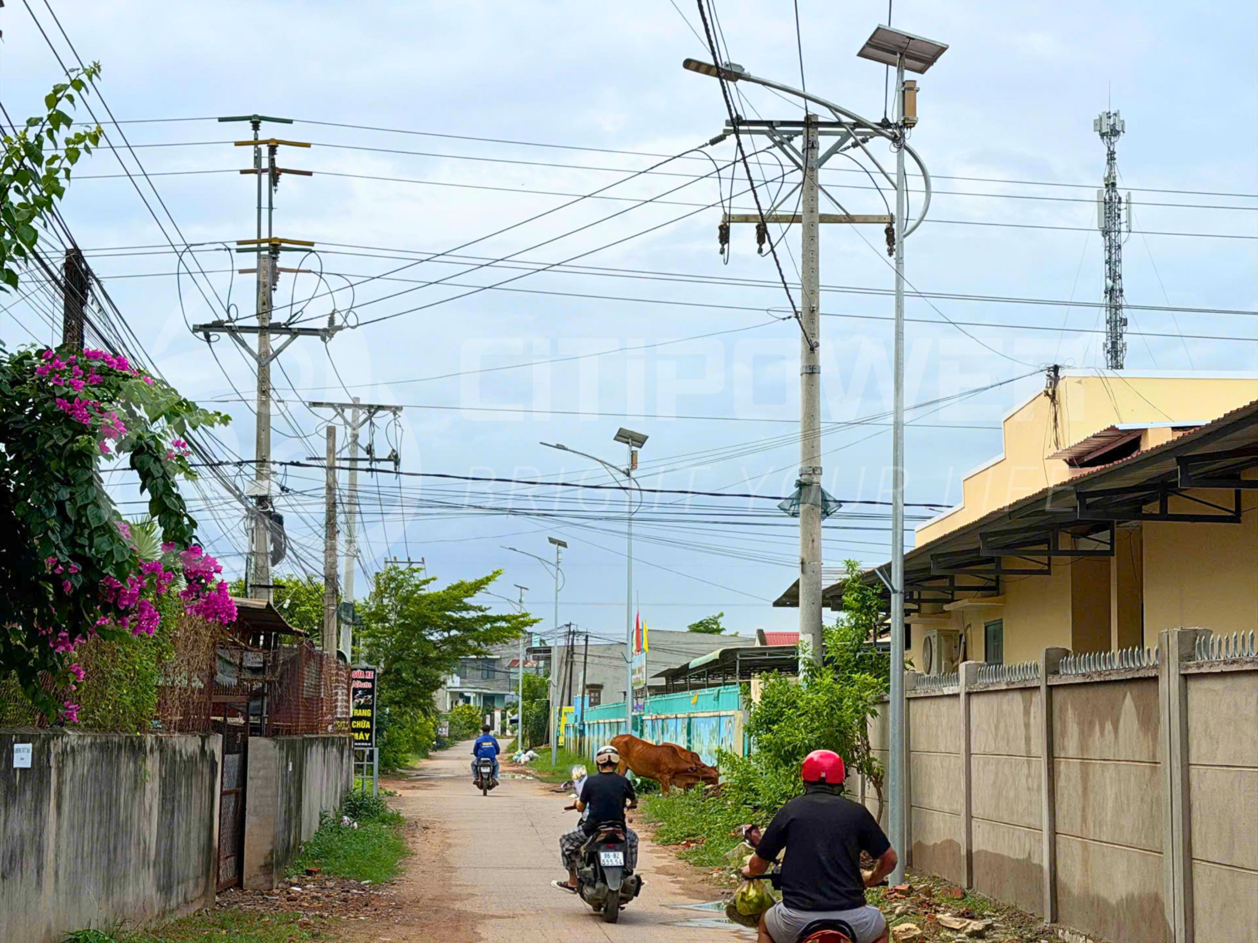 Dự án đèn năng lượng CTP-ECO 60W tại Sông Lũy, Lâm Đồng
